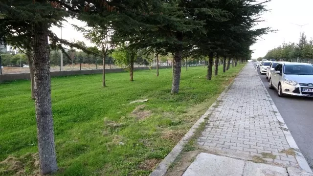 Cinsel saldırı ve gasp üniversitedeki spor salonuna giderken gelmiş Cinsel saldırı ve gasp üniversitedeki spor salonuna giderken gelmiş