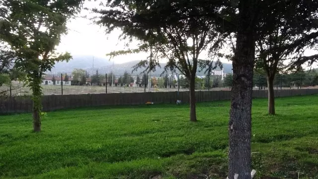 Cinsel saldırı ve gasp üniversitedeki spor salonuna giderken gelmiş Cinsel saldırı ve gasp üniversitedeki spor salonuna giderken gelmiş