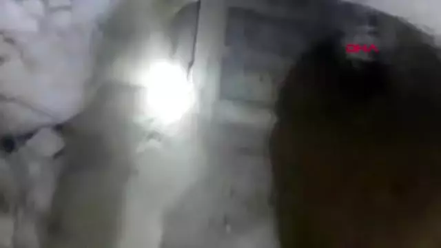 Gaziantep'te tarihi eser operasyonu 4 gözaltı Gaziantep'te tarihi eser operasyonu 4 gözaltı