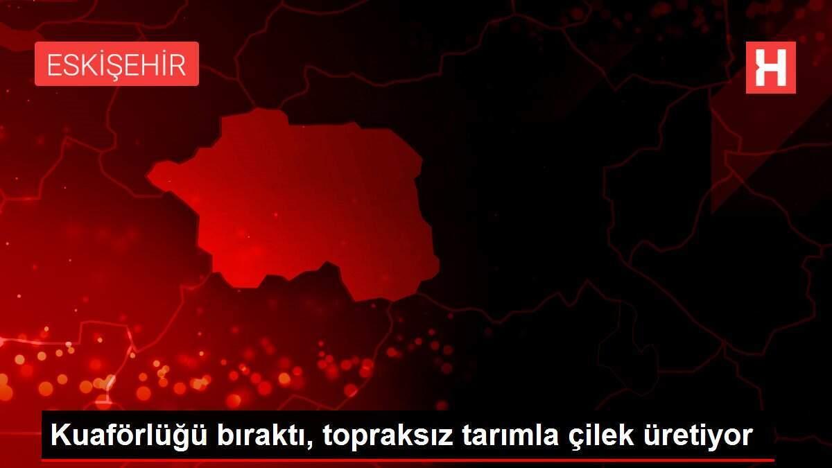 Kuaförlüğü bıraktı, topraksız tarımla çilek üretiyor