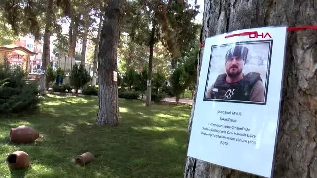 Tokat okul bahçesindeki ağaçlara şehitlerin ismi verildi Tokat okul bahçesindeki ağaçlara şehitlerin ismi verildi