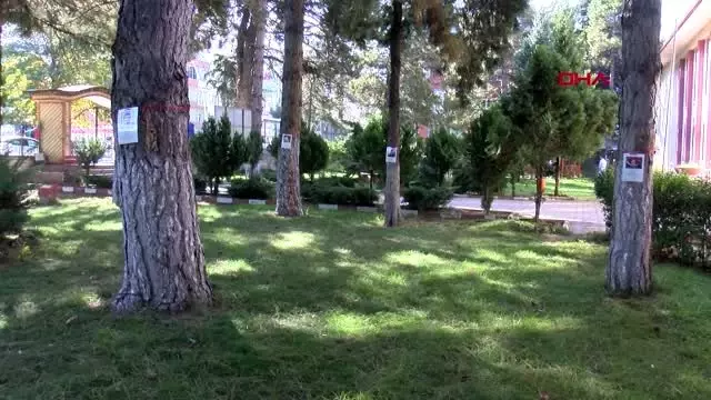 Tokat okul bahçesindeki ağaçlara şehitlerin ismi verildi Tokat okul bahçesindeki ağaçlara şehitlerin ismi verildi