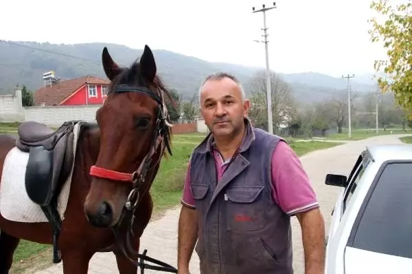 Bozuk yolları atlarla geçmeye başladılar Bozuk yolları atlarla geçmeye başladılar