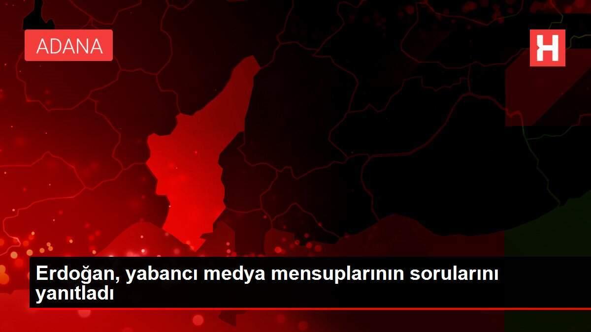 Erdoğan, yabancı medya mensuplarının sorularını yanıtladı