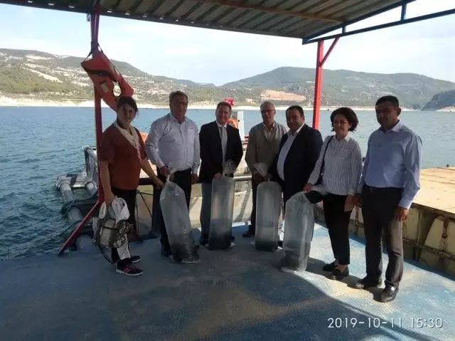 Kemer Baraj Gölü'ne 2 bin yayın balığı bırakıldı Kemer Baraj Gölü'ne 2 bin yayın balığı bırakıldı