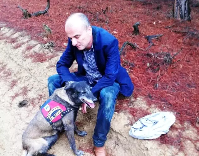 Ormanda kaybolan şube müdürünü iz takip köpeği buldu