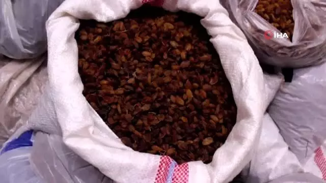 Sınır ötesindeki Mehmetçiğe kuru üzüm dopingi Sınır ötesindeki Mehmetçiğe kuru üzüm dopingi