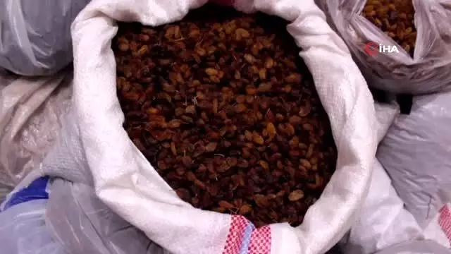Sınır ötesindeki Mehmetçiğe kuru üzüm dopingi Sınır ötesindeki Mehmetçiğe kuru üzüm dopingi