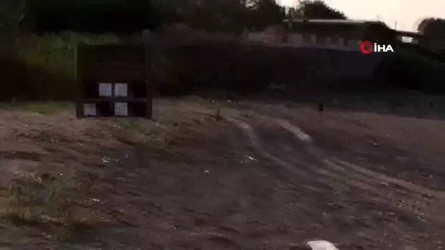 60 bin cezaya aldırış etmeyerek kum zambaklarını kopardılar 60 bin cezaya aldırış etmeyerek kum zambaklarını kopardılar