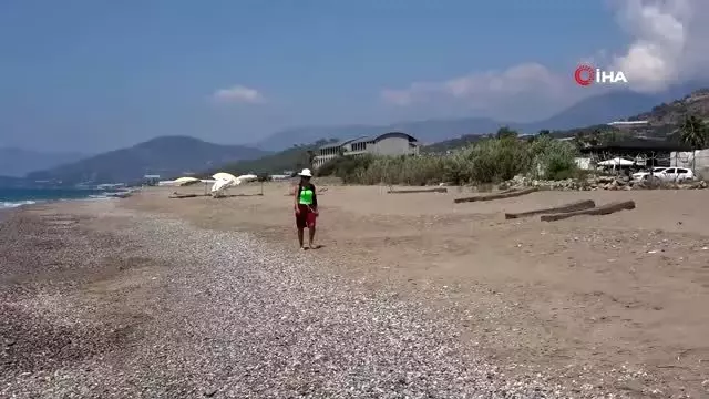 60 bin cezaya aldırış etmeyerek kum zambaklarını kopardılar 60 bin cezaya aldırış etmeyerek kum zambaklarını kopardılar