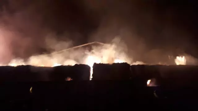 Bandırma Organize Sanayi Bölgesinde yangın Bandırma Organize Sanayi Bölgesinde yangın
