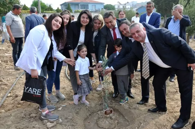 İlk hasat zeytinyağı 15 bin liraya satıldı ile ilgili görsel sonucu