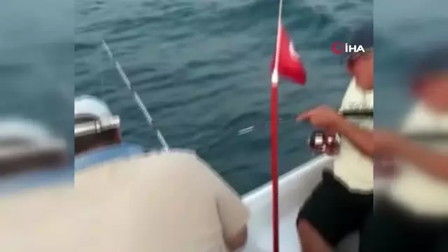 İzmir'de sandalla denize açılan ailenin oltasına iki adet köpek balığı takıldı İzmir'de sandalla denize açılan ailenin oltasına iki adet köpek balığı takıldı