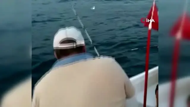 İzmir'de sandalla denize açılan ailenin oltasına iki adet köpek balığı takıldı İzmir'de sandalla denize açılan ailenin oltasına iki adet köpek balığı takıldı