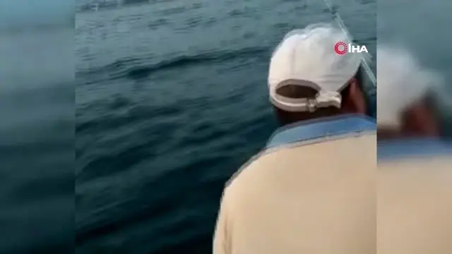 İzmir'de sandalla denize açılan ailenin oltasına iki adet köpek balığı takıldı İzmir'de sandalla denize açılan ailenin oltasına iki adet köpek balığı takıldı