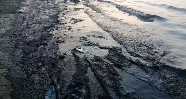 İzmir'de petrol türevi atıklar denizi kirletti, ekipler bölgede çalışma başlattı