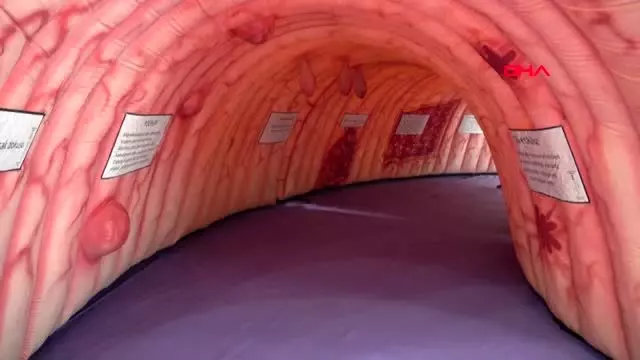 İzmir dev bağırsak maketine yoğun ilgi İzmir dev bağırsak maketine yoğun ilgi