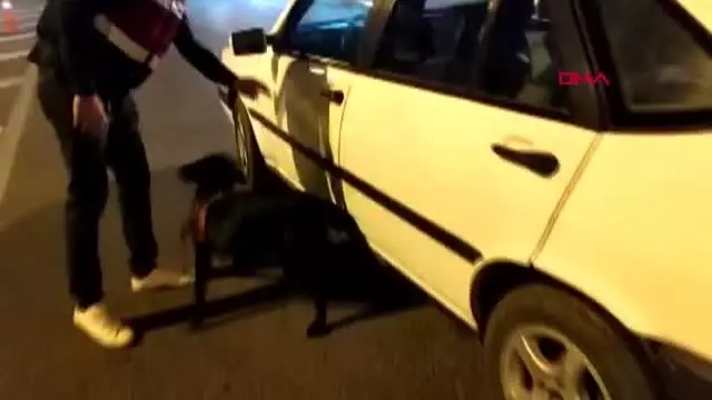 Kahramanmaraş'ta 8 uyuşturucu operasyonu 28 gözaltı Kahramanmaraş'ta 8 uyuşturucu operasyonu 28 gözaltı