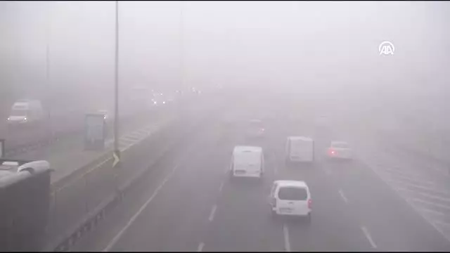 Yoğun sis hayatı olumsuz etkiledi Yoğun sis hayatı olumsuz etkiledi