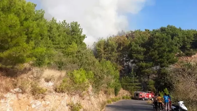 Alanya'da orman yangını büyük paniğe yol açtı - Haber