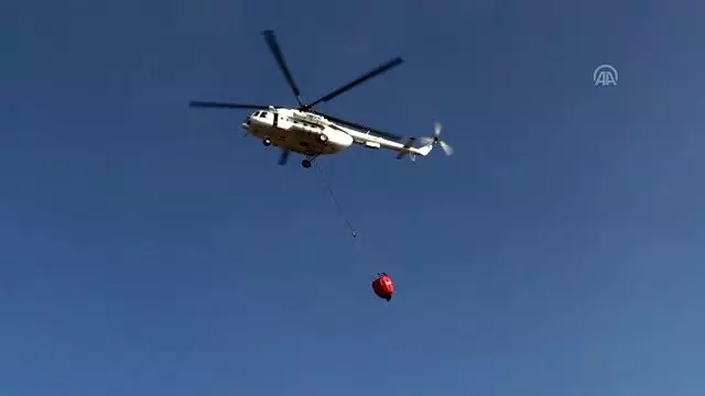 Alanya'da orman yangını Alanya'da orman yangını