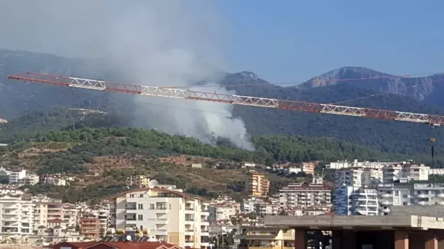 Alanya'da orman yangını büyük paniğe yol açtı Alanya'da orman yangını büyük paniğe yol açtı