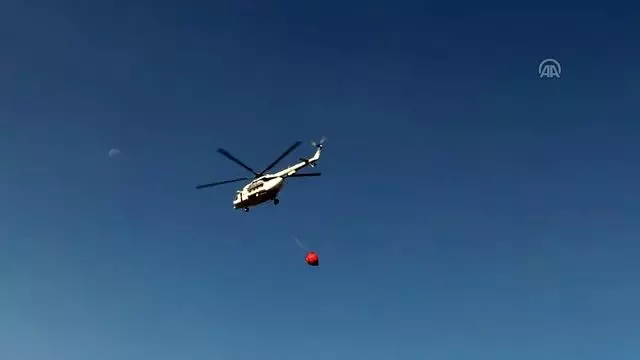 Alanya'da orman yangını Alanya'da orman yangını