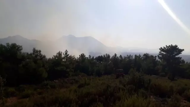 Alanya'da orman yangını büyük paniğe yol açtı Alanya'da orman yangını büyük paniğe yol açtı
