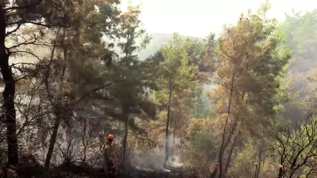 Alanya'da orman yangını Alanya'da orman yangını