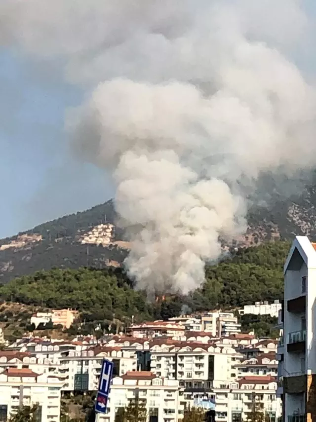 Alanya'da orman yangını büyük paniğe yol açtı Alanya'da orman yangını büyük paniğe yol açtı