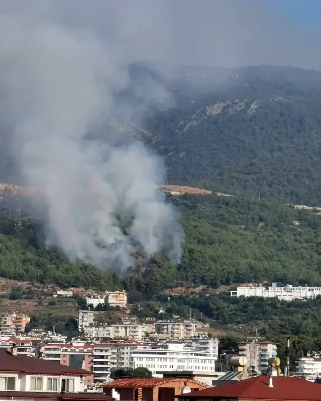 Alanya'da orman yangını büyük paniğe yol açtı Alanya'da orman yangını büyük paniğe yol açtı