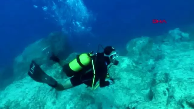 Nesli tükenme tehlikesi altında olan 'Şeytan vatozu', Antalya Körfezi'nde ilk kez görüldü