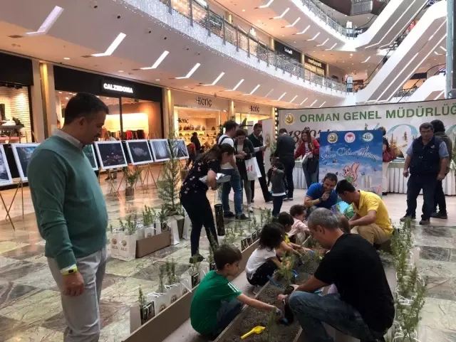 Bakan Pakdemirli, çocuklarla fidan dikti Bakan Pakdemirli, çocuklarla fidan dikti