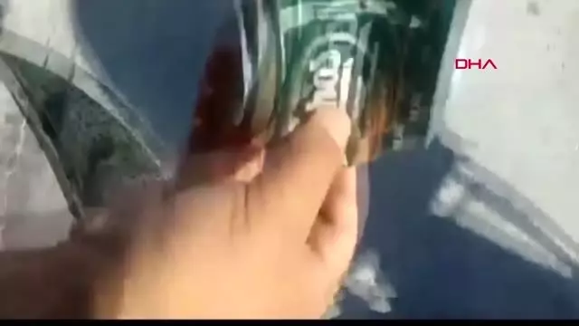 Balon balığı tehlikesi karadeniz'de Balon balığı tehlikesi karadeniz'de