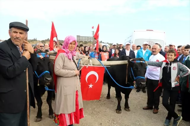 Çankırı'da '10. İstiklal Yolu Yürüyüşü' Çankırı'da '10. İstiklal Yolu Yürüyüşü'