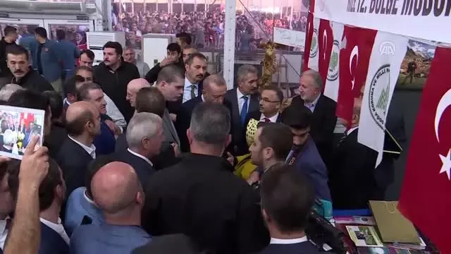 Cumhurbaşkanı Erdoğan, 11. Rize Tanıtım Günleri stantlarını ziyaret etti Cumhurbaşkanı Erdoğan, 11. Rize Tanıtım Günleri stantlarını ziyaret etti