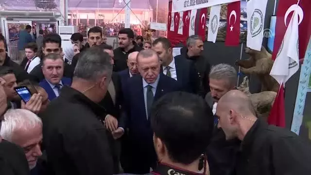 Cumhurbaşkanı Erdoğan, 11. Rize Tanıtım Günleri stantlarını ziyaret etti Cumhurbaşkanı Erdoğan, 11. Rize Tanıtım Günleri stantlarını ziyaret etti