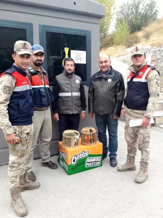 Gevaş'ta kaçak avlanmış 42 keklik ele geçirildi Gevaş'ta kaçak avlanmış 42 keklik ele geçirildi
