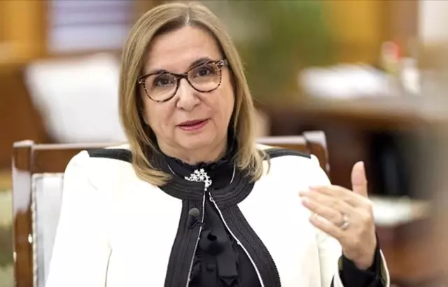 Gümrükte araçlara
