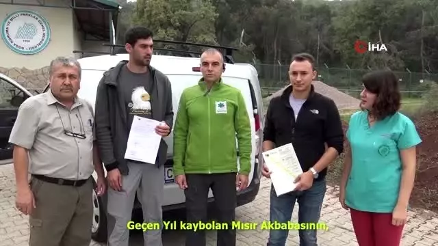 Mısır akbabasının iki ülke arasındaki yolculuğu...Tedavisi tamamlanan akbaba Bulgaristan'a... Mısır akbabasının iki ülke arasındaki yolculuğu...Tedavisi tamamlanan akbaba Bulgaristan'a...