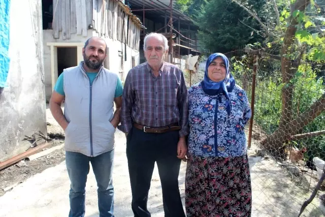 İnternet üzerinden ineklerini satmak isterken dolandırıldılar İnternet üzerinden ineklerini satmak isterken dolandırıldılar