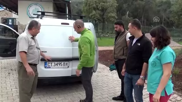 Tedavisi tamamlanan yaralı akbaba ülkesine teslim edildi Tedavisi tamamlanan yaralı akbaba ülkesine teslim edildi