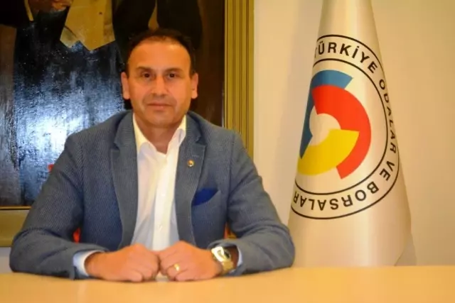 Uluslararası Zeytin Hasat Festivali başlıyor Uluslararası Zeytin Hasat Festivali başlıyor
