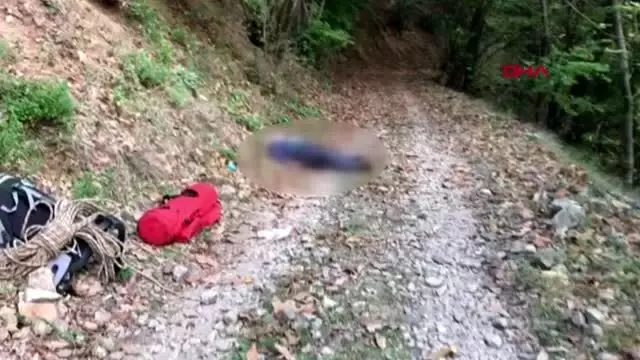 Ağaçtan düşüp kafasını yaran yaşlı adam, 2 saatlik yürüyüşten sonra öldü Ağaçtan düşüp kafasını yaran yaşlı adam, 2 saatlik yürüyüşten sonra öldü