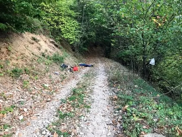 Ağaçtan düşüp kafasını yaran yaşlı adam, 2 saatlik yürüyüşten sonra öldü Ağaçtan düşüp kafasını yaran yaşlı adam, 2 saatlik yürüyüşten sonra öldü