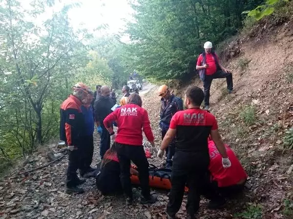 Ağaçtan düşüp kafasını yaran yaşlı adam, 2 saatlik yürüyüşten sonra öldü Ağaçtan düşüp kafasını yaran yaşlı adam, 2 saatlik yürüyüşten sonra öldü