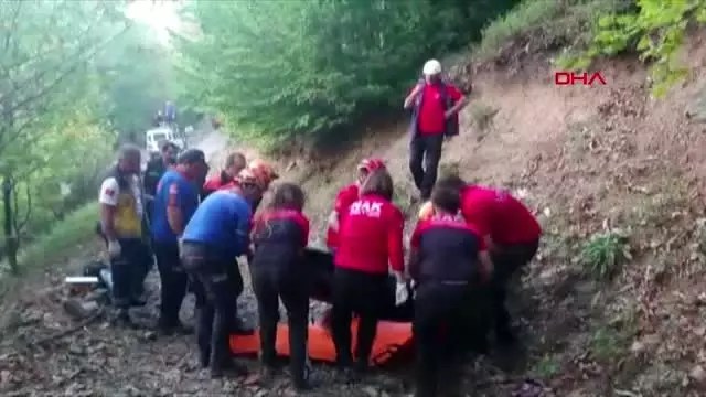 Ağaçtan düşüp kafasını yaran yaşlı adam, 2 saatlik yürüyüşten sonra öldü Ağaçtan düşüp kafasını yaran yaşlı adam, 2 saatlik yürüyüşten sonra öldü