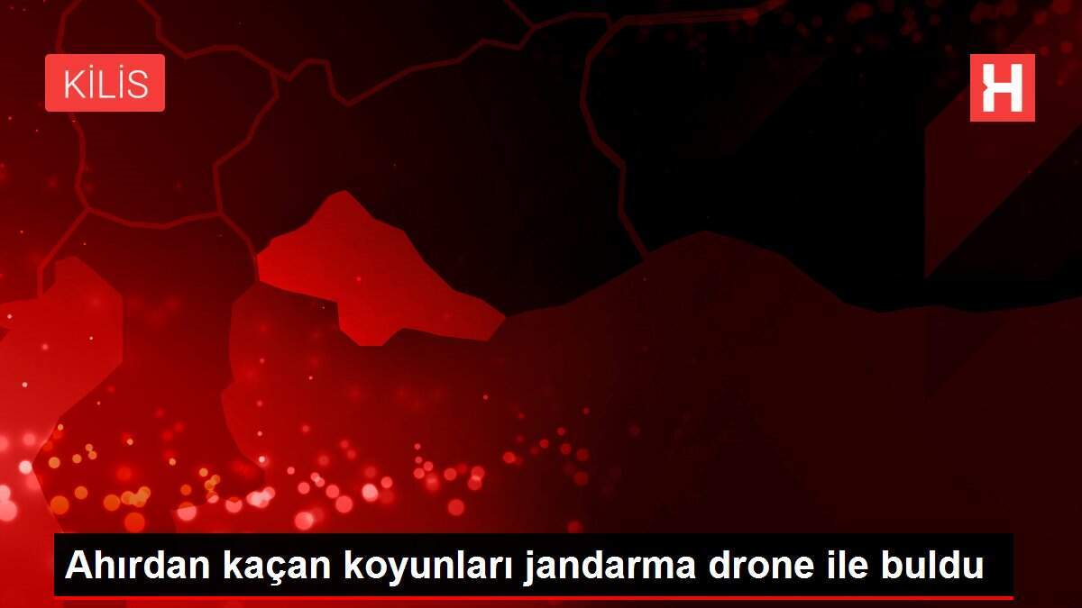 Ahırdan kaçan koyunları jandarma drone ile buldu