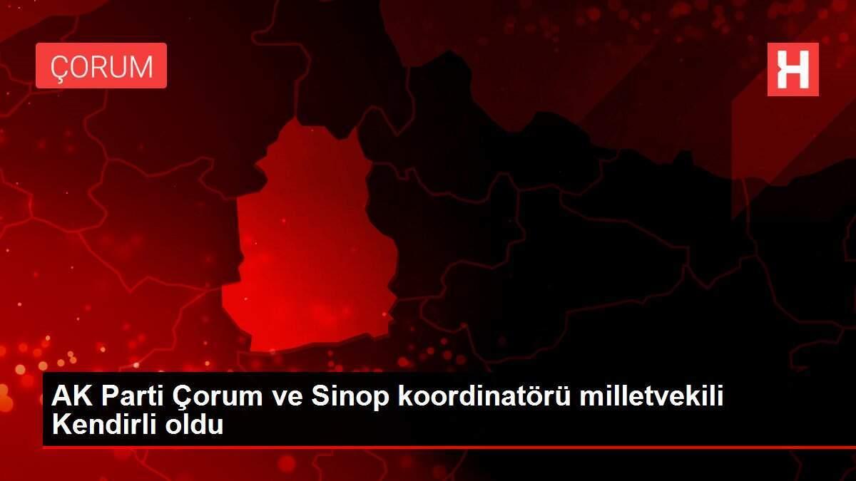 AK Parti Çorum ve Sinop koordinatörü milletvekili Kendirli oldu