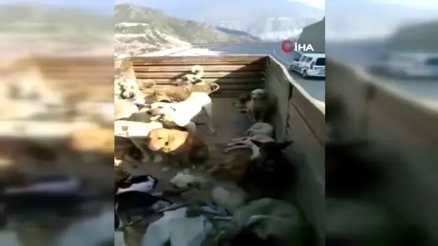 Artvin'de yürek burkan görüntü... Oluşan manzarayı gözyaşlarıyla görüntülediler Artvin'de yürek burkan görüntü... Oluşan manzarayı gözyaşlarıyla görüntülediler